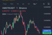 HMSTR/USDT 能否突破 1 USDT？潜力与挑战分析